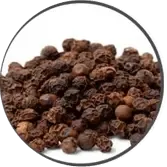 Bioperine